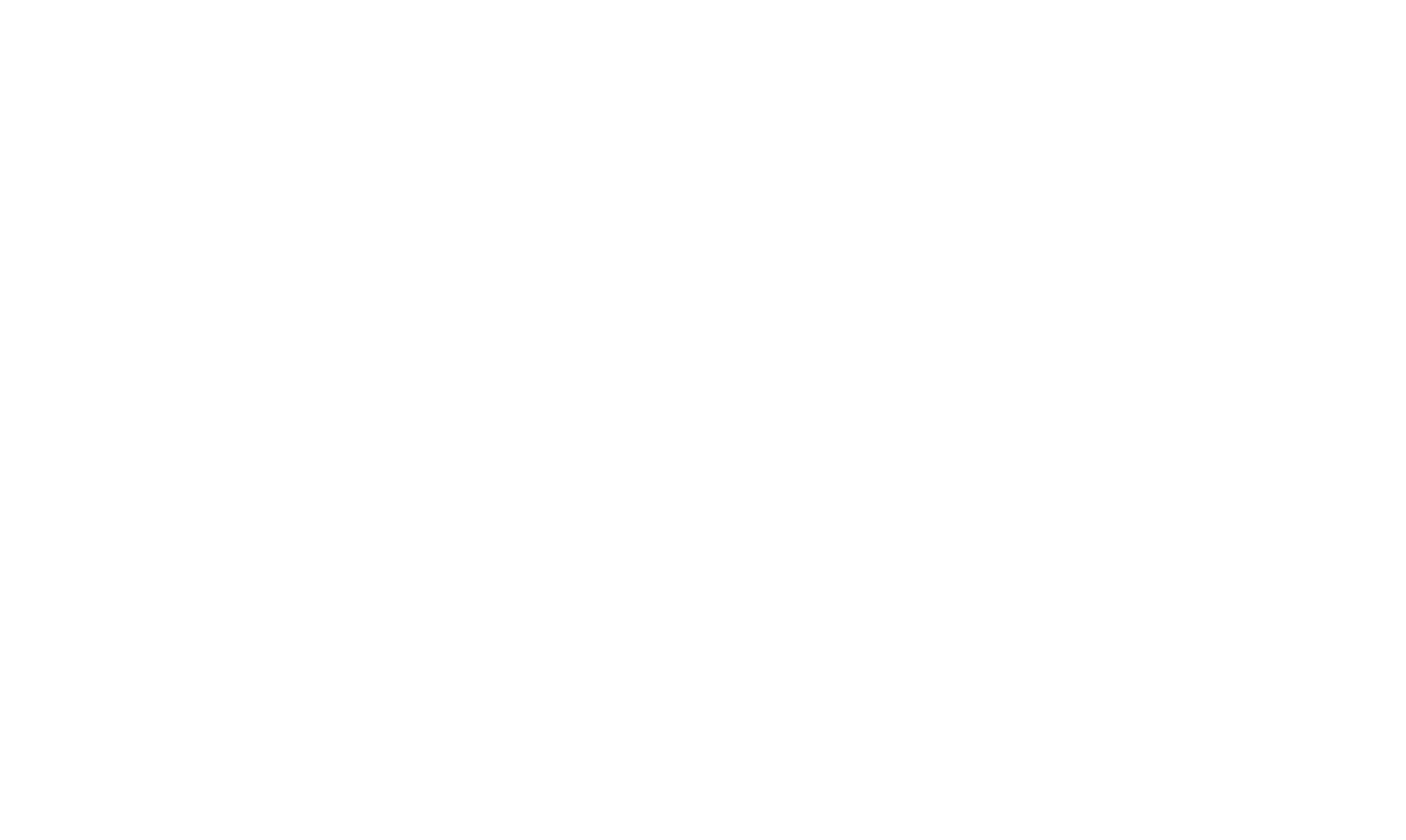 Texans for Truth and Liberty Logo